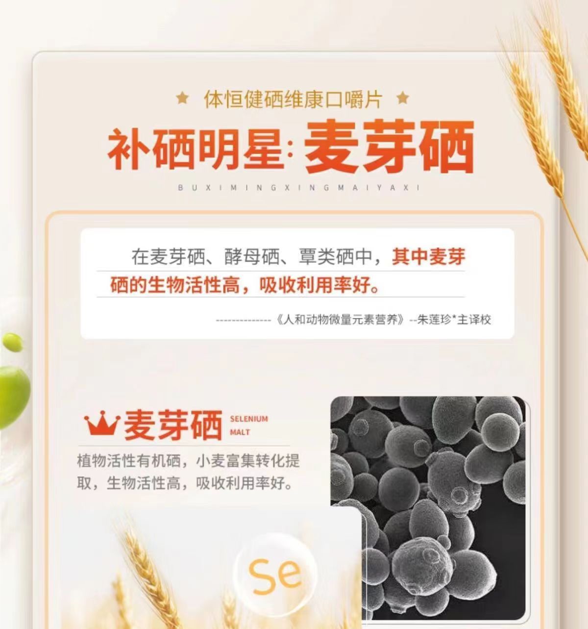 贡栖体唛1.jpg